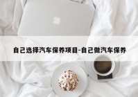 自己选择汽车保养项目-自己做汽车保养